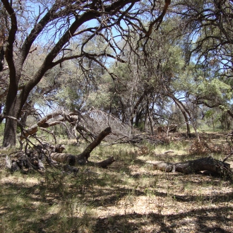 TweedyRanch (29)